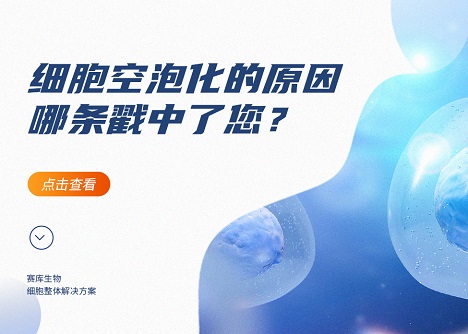 為什么細(xì)胞會(huì)出現(xiàn)空泡！