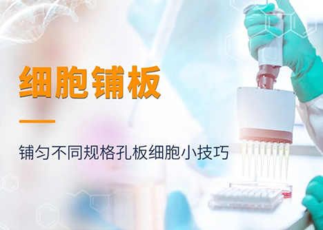 細(xì)胞鋪板|鋪勻不同規(guī)格孔板細(xì)胞小技巧