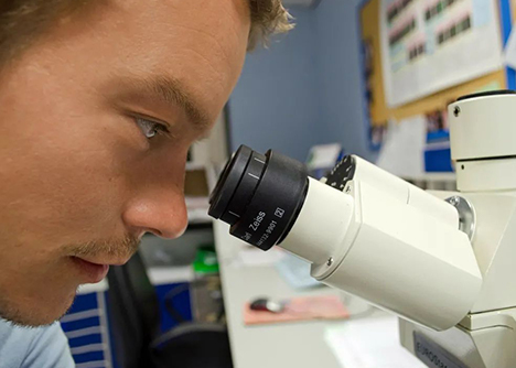 永生化就能無限傳代？有些概念你需要清楚