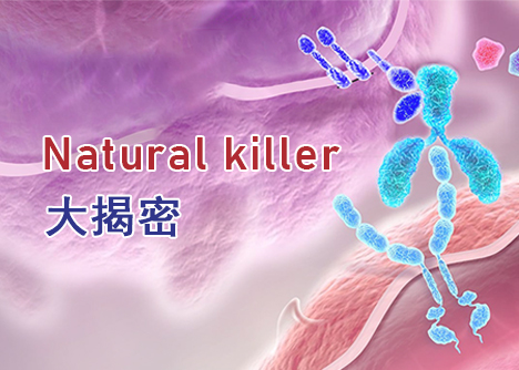 細胞學堂 | 聽說NK-92和NK-92MI很難養(yǎng)？