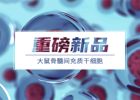 重磅新品|大鼠骨髓間充質(zhì)干細胞