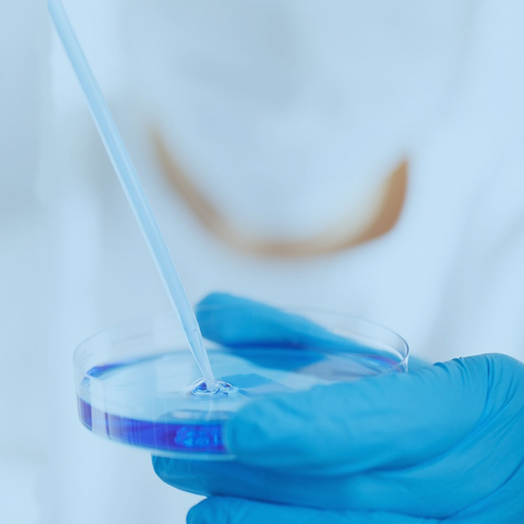 細(xì)胞培養(yǎng)服務(wù)