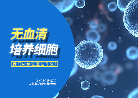 無血清條件培養(yǎng)的細(xì)胞 注意事項