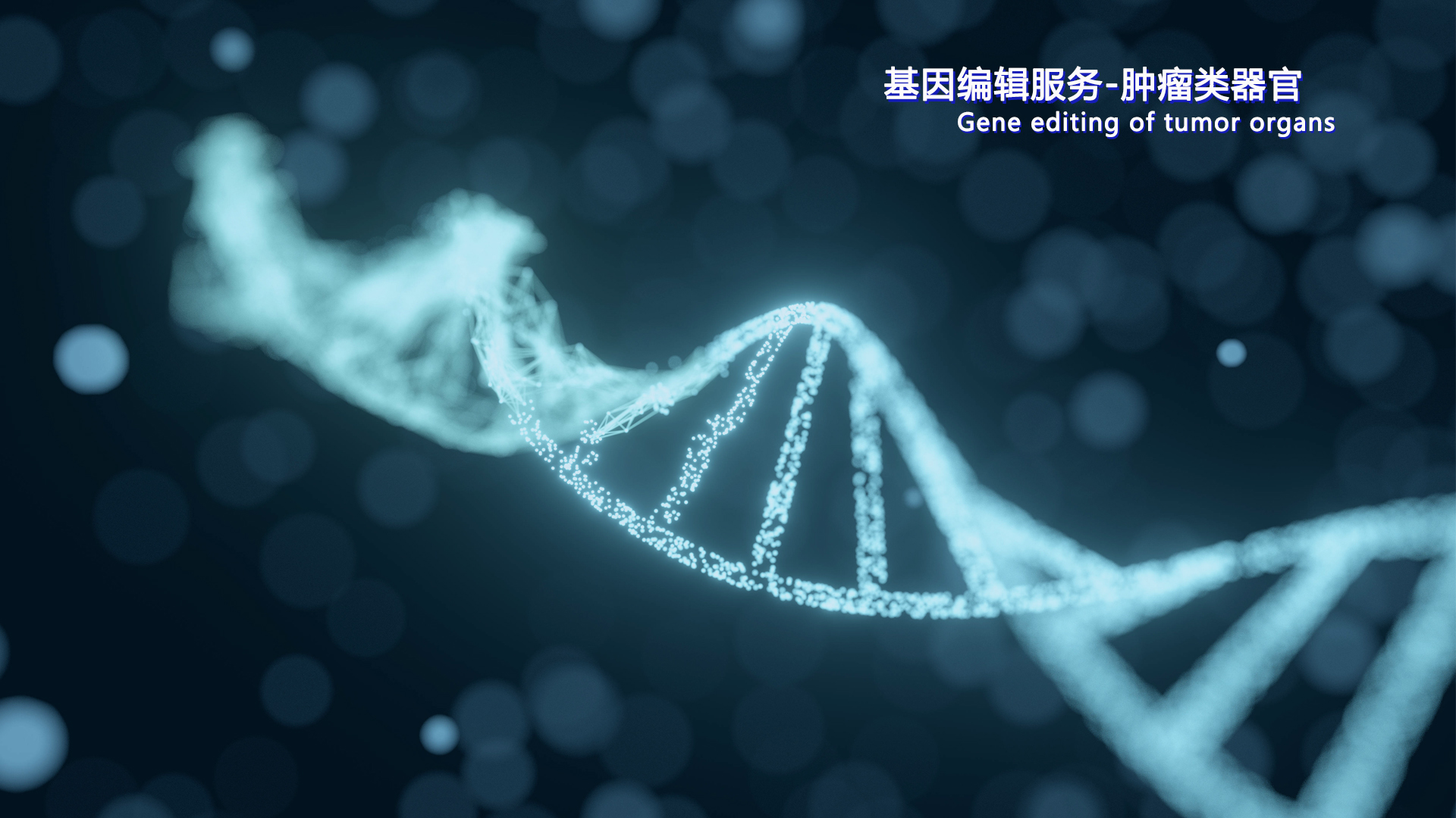 基因編輯服務(wù)-腫瘤類器官01