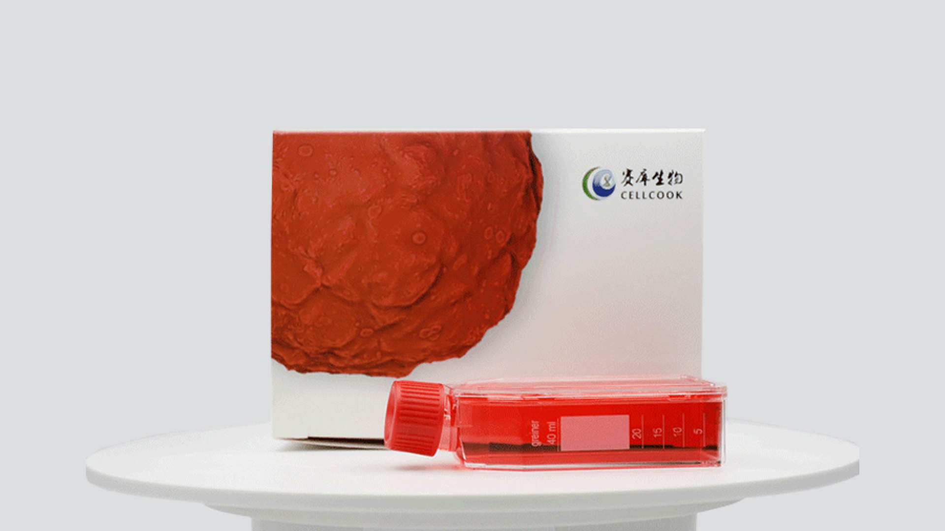 MDA-MB-231細(xì)胞Luciferase基因和hFAP基因過表達(dá)