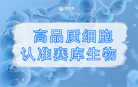 無支原體污染，這不是細(xì)胞產(chǎn)品的基本質(zhì)量標(biāo)準(zhǔn)嗎？