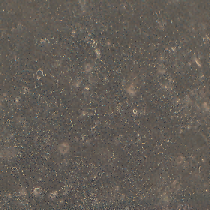 HNE-2人鼻咽癌細胞（STR鑒定正確）