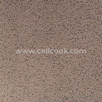 S180-V小鼠腹水瘤細(xì)胞（種屬鑒定正確）