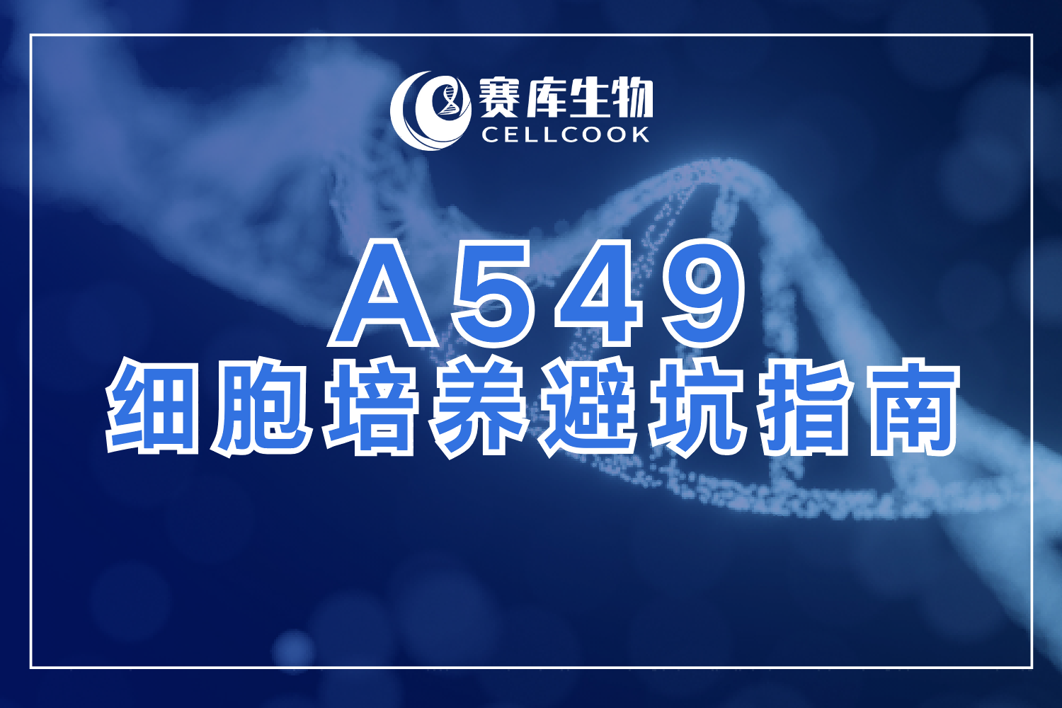 肺癌研究必備！A549細胞培養(yǎng)避坑指南&高分文獻
