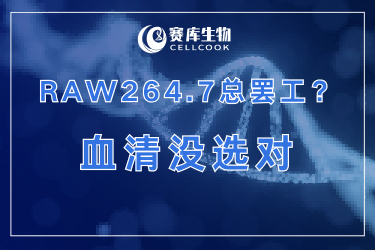 為啥你的RAW264.7總“罷工”？可能是血清沒選對！