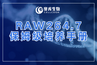 被RAW264.7 細(xì)胞搞崩潰？保姆級(jí)培養(yǎng)手冊(cè)來(lái)啦