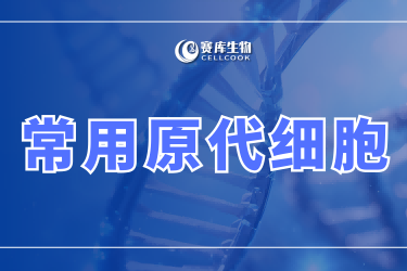 常用原代細(xì)胞介紹
