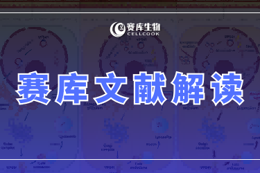 賽庫高分引用文獻(xiàn) | 癌癥治療新思路