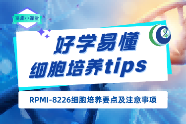 賽庫小課堂 | RPMI-8226細(xì)胞培養(yǎng)要點(diǎn)及注意事項(xiàng)