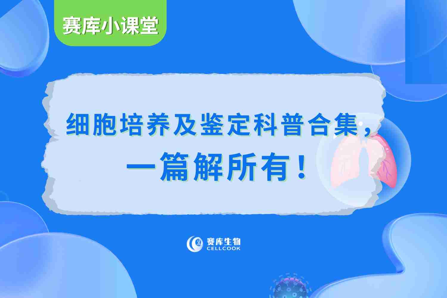 賽庫(kù)細(xì)胞培養(yǎng)及鑒定科普目錄合集，一篇解所有！