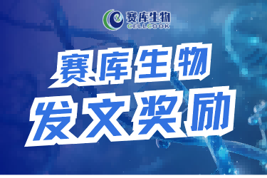 發(fā)文獎(jiǎng)勵(lì)