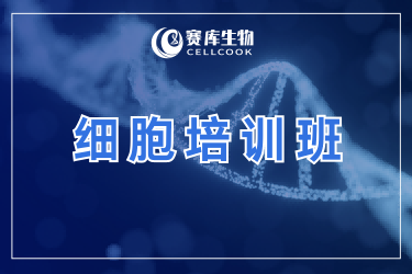 廣中醫(yī)&賽庫(kù)生物細(xì)胞實(shí)驗(yàn)培訓(xùn)，助力科研新人從0到1彎道超車(chē)！