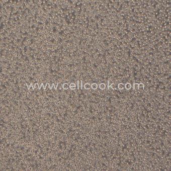 A3人T淋巴細(xì)胞白血病細(xì)胞（STR鑒定正確）