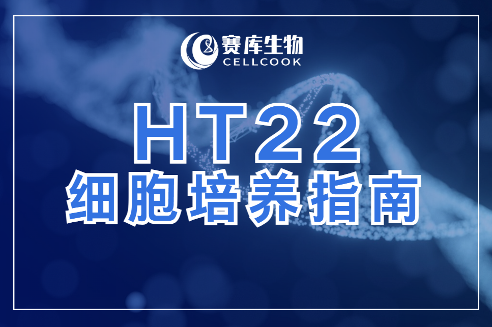 HT-22細胞：高效培養(yǎng)與關(guān)鍵要點